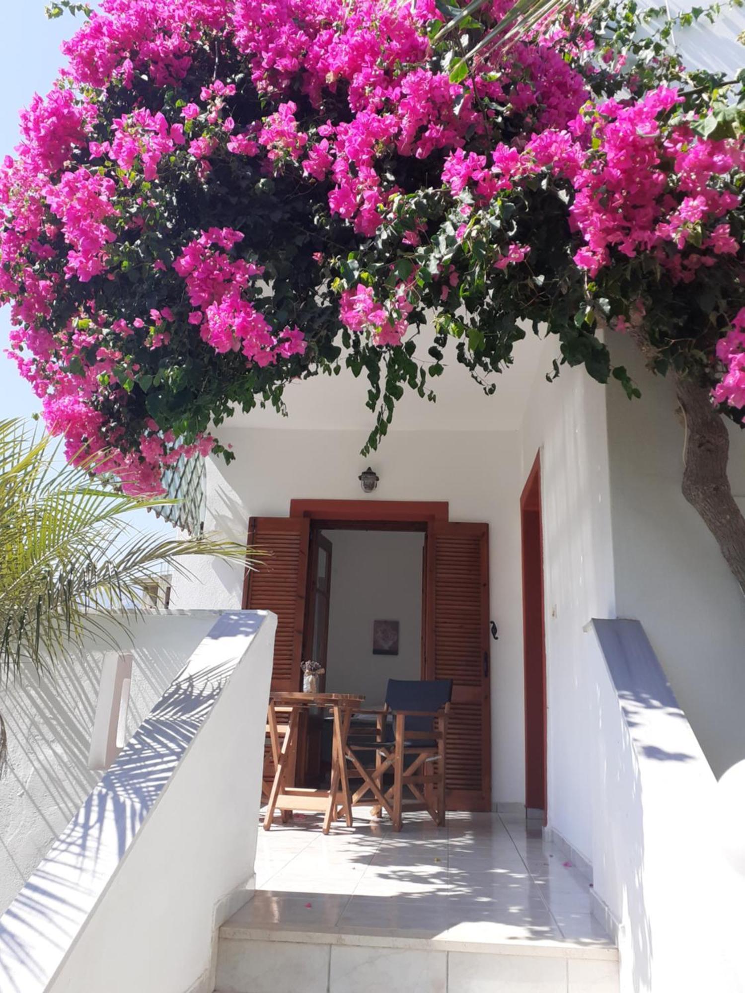 Antigoni Apartments 'Lavender Room' Mílatos Ngoại thất bức ảnh